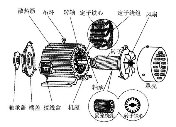 三相異步電動機的六種分類方法及具體分類。